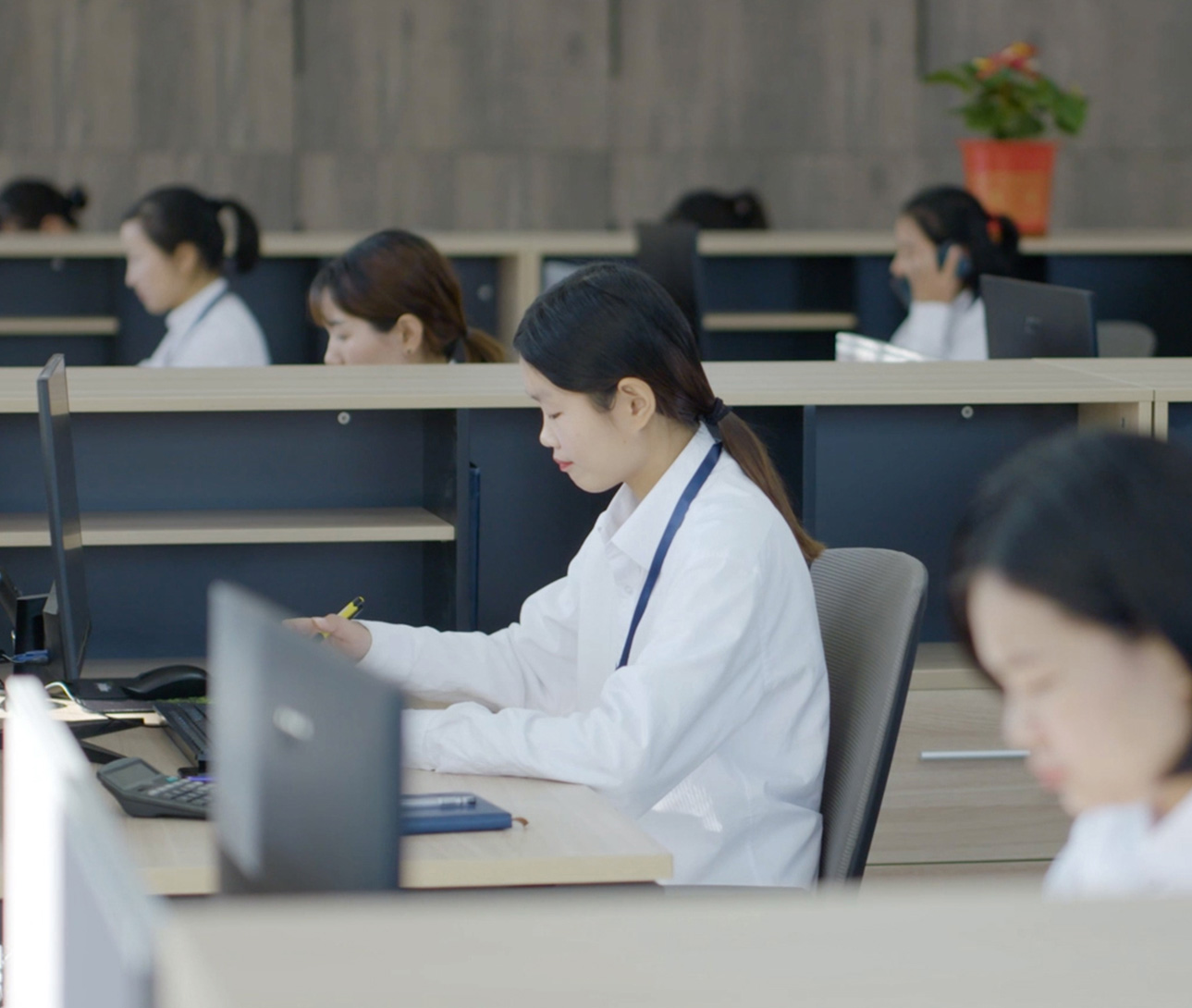 开云篮球(中国)股份有限公司官网